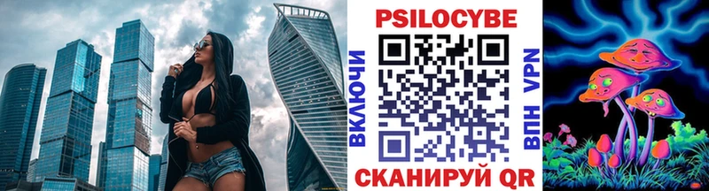 Псилоцибиновые грибы Psilocybe  Купить закладки  Калачинск 